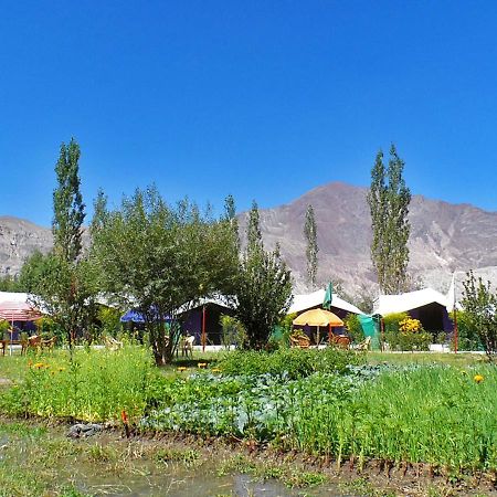 Hotel Tiger Camp Nubra Exterior foto